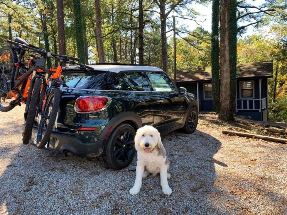 Loblolly Pines Adventure Cabin 2 King Eureka Springs Eksteriør billede